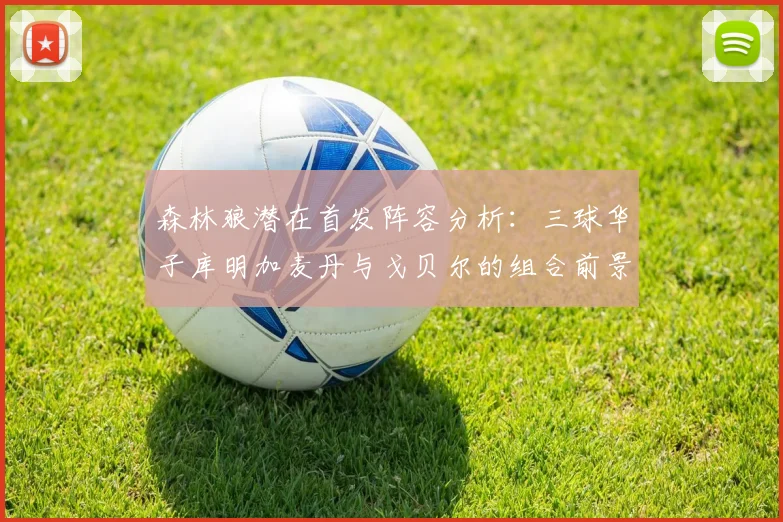 森林狼潜在首发阵容分析:三球华子库明加麦丹与戈贝尔的组合前景如何