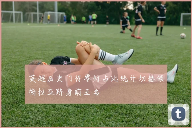 英超历史门将零封占比统计切赫领衔拉亚跻身前五名