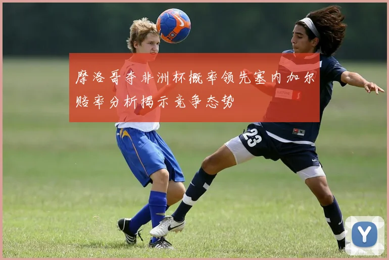 摩洛哥夺非洲杯概率领先塞内加尔赔率分析揭示竞争态势